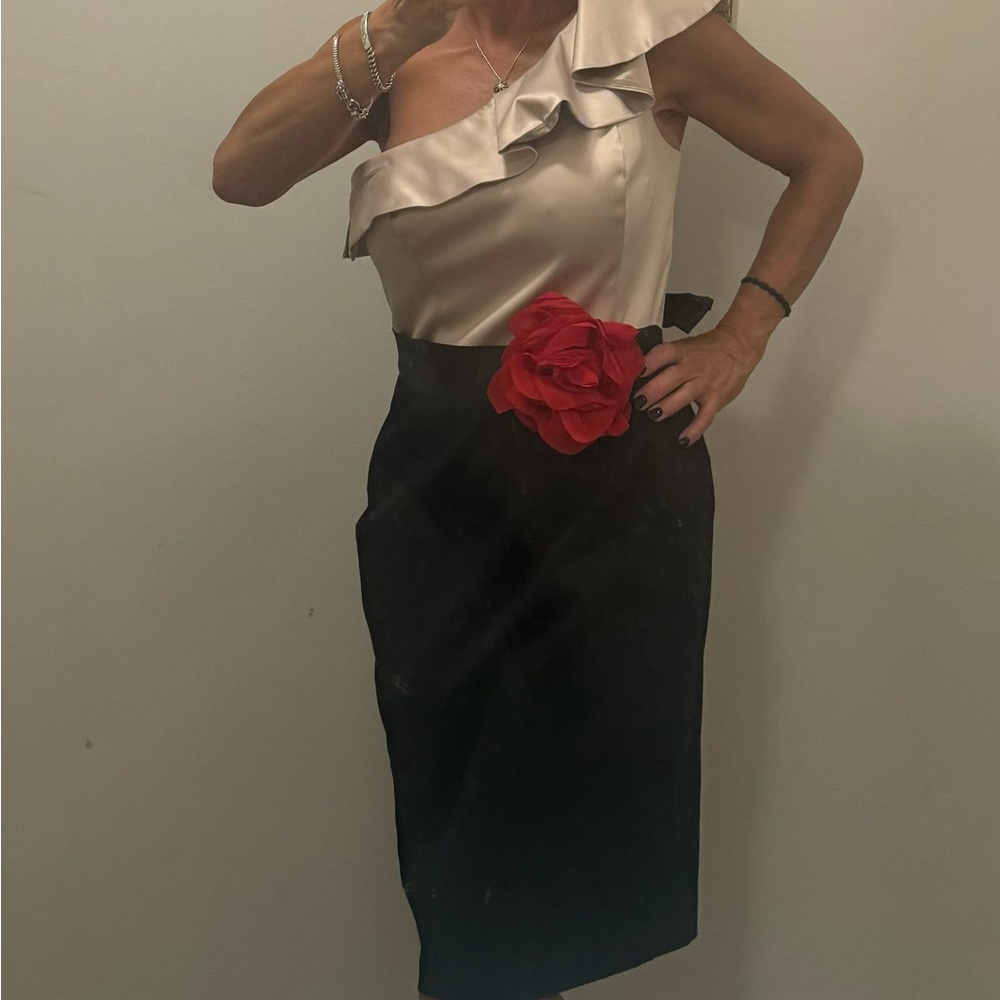 White House Black Market dress. Size 10